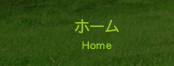 ホーム